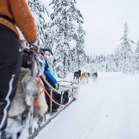 Reindeer Manor Levi Otel Dış mekan fotoğraf