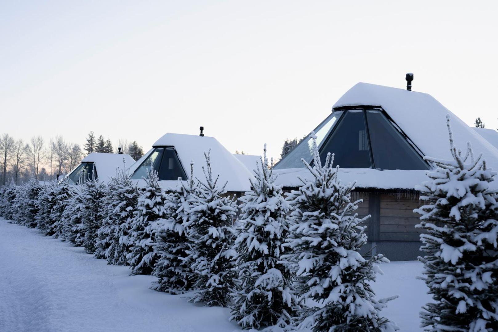 Reindeer Manor Levi Otel Dış mekan fotoğraf